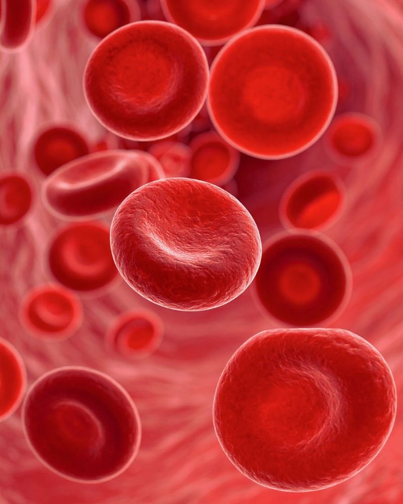 पैरों में खून का संचार कम होने का चित्र