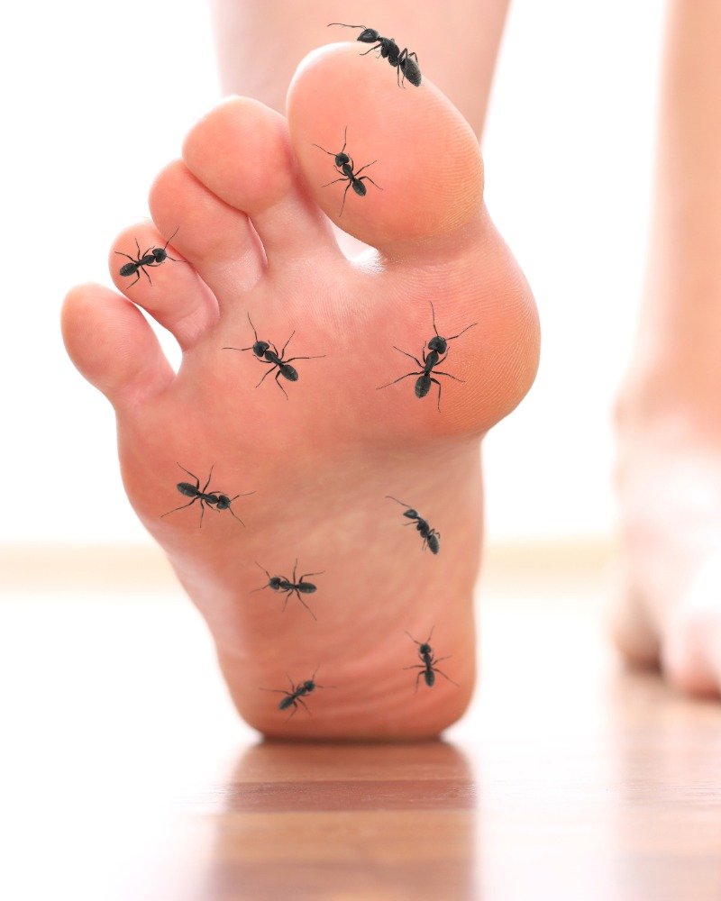 विटामिन B12 की कमी से हाथ-पैर में झनझनाहट